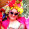 stilt-terrific_stiltwalkers_statues_roving003012.jpg