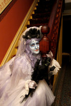 stilt-terrific_stiltwalkers_statues_roving060002.jpg