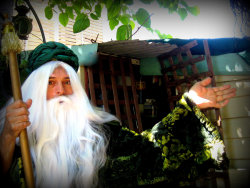 stilt-terrific_stiltwalkers_statues_roving063001.jpg